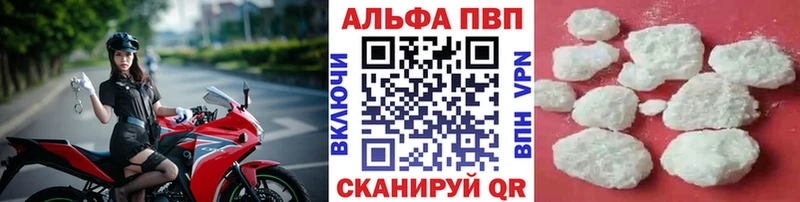 Alfa_PVP СК Тавда
