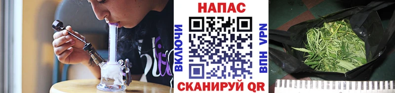 Купить закладки  Тавда  Бошки марихуана планчик 